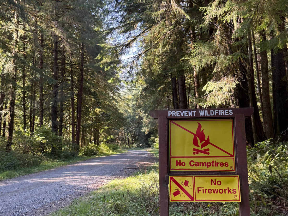 Prairie Creek–Higley Repeater Road - FS 2190 photo 6