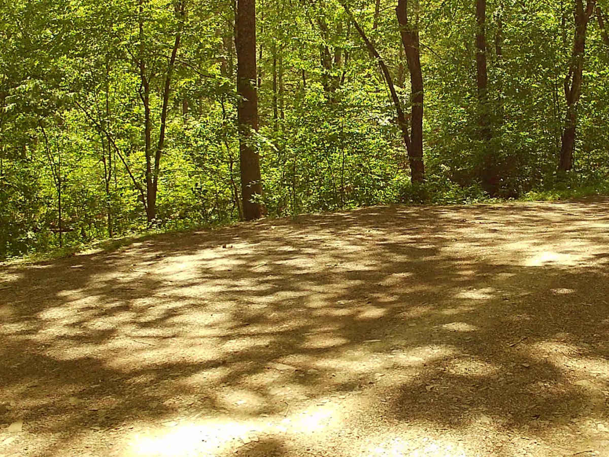 Bell Furnace Road photo 5