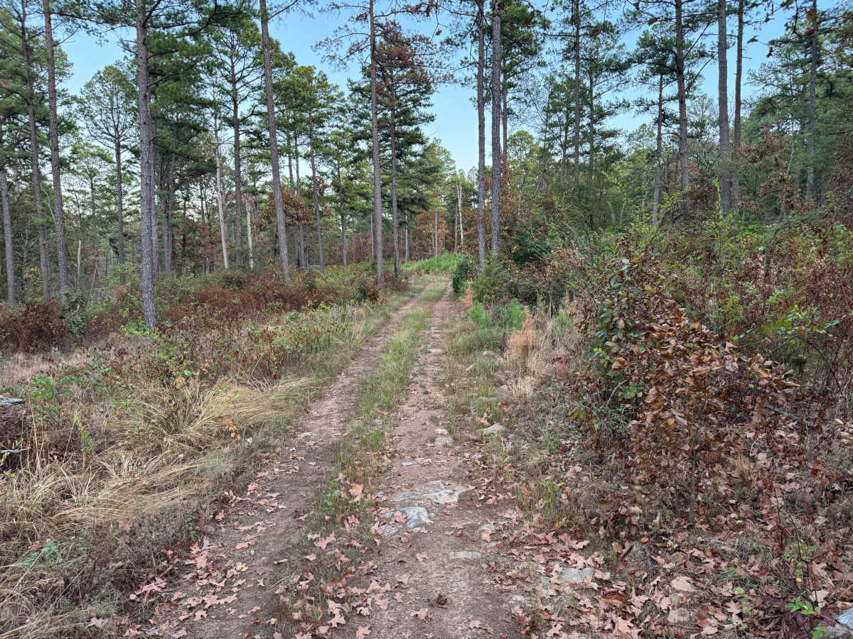 Calico Creek photo 2