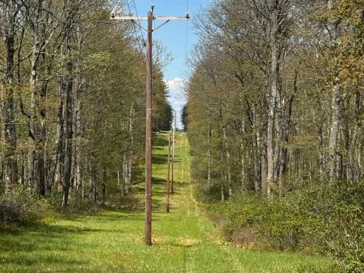 Marks Run Road photo 4