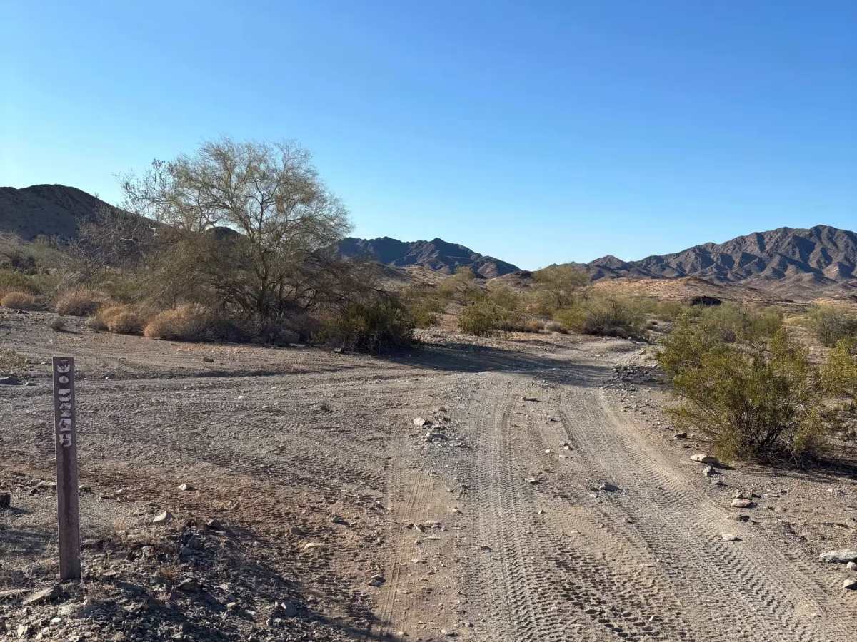 LP324 trail photo