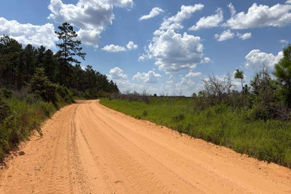 Paulk Road