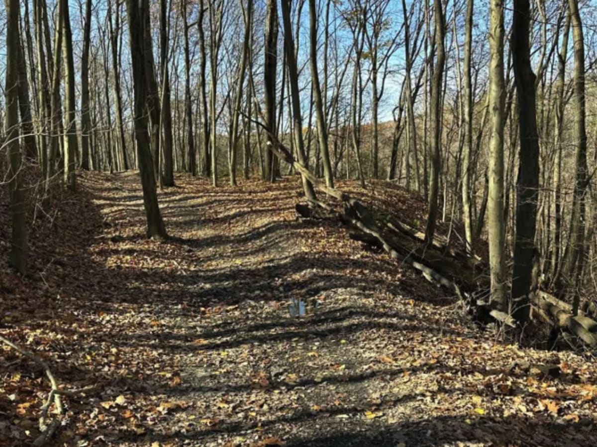 Ashland 27 photo 6