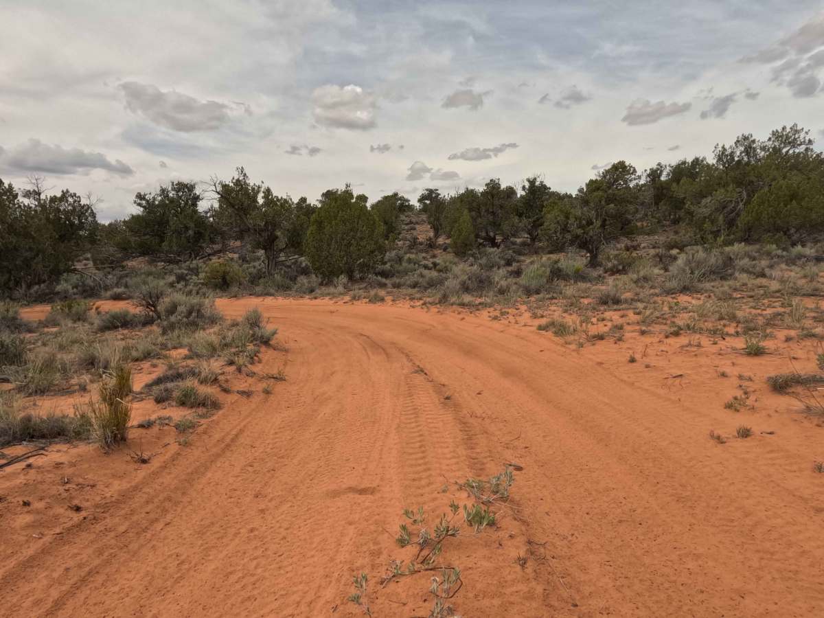 BLM 61G photo 4