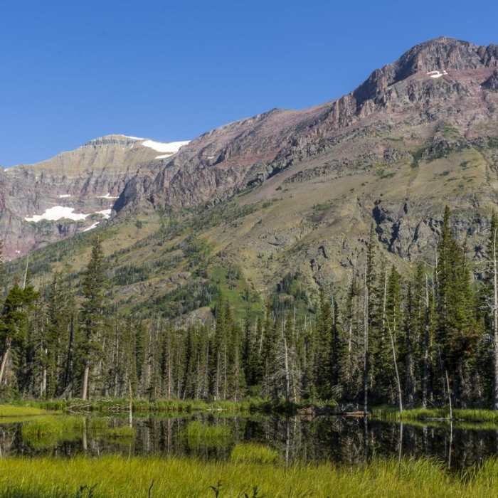 Near Aster Park Overlook Hike