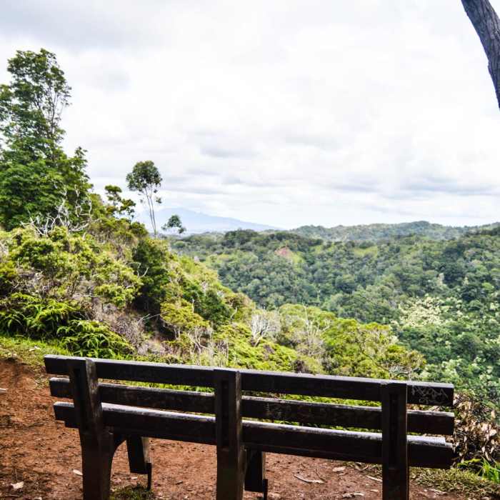 Near Aiea Loop Trail Near Aiea Loop Trail
