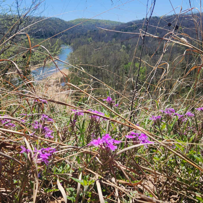 Near Bee Bluff Spur Trail
