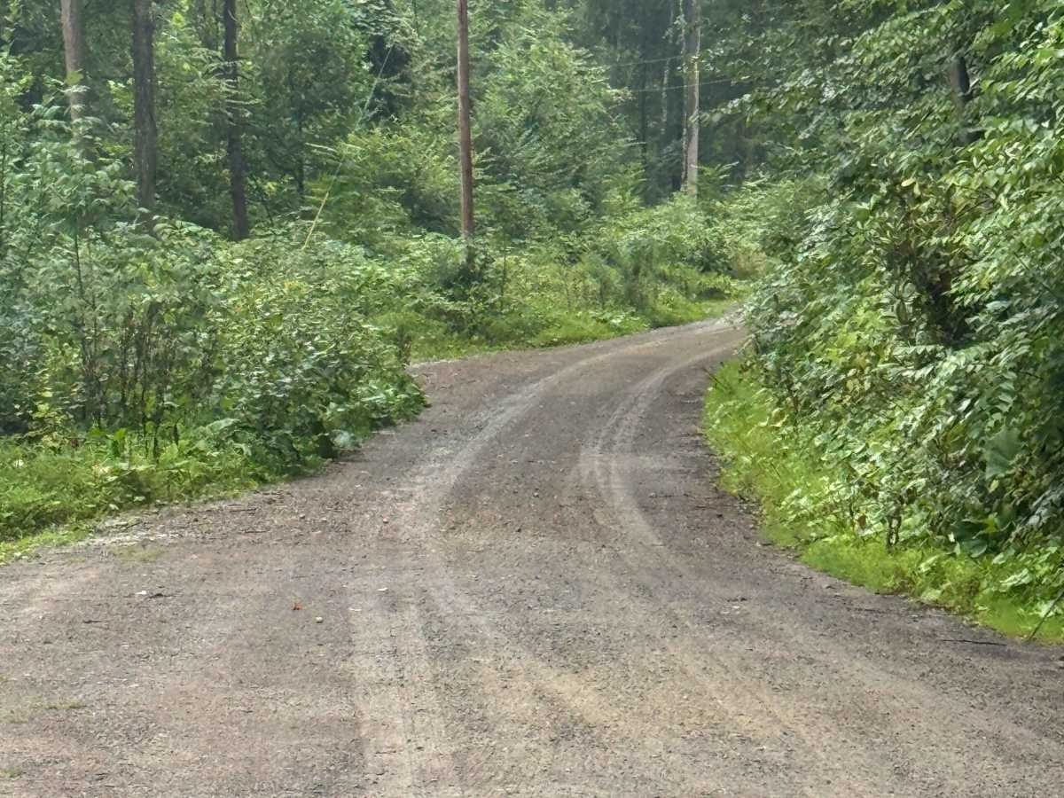 Little Bear Creek Road photo 3