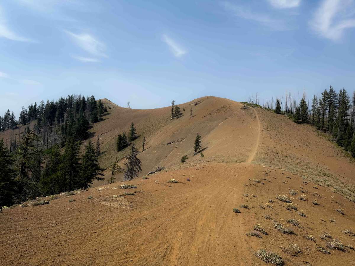 Sasse Mountain (Lower) 1340  photo 4