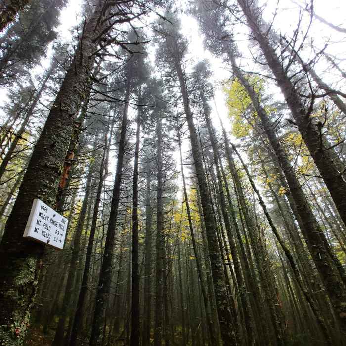 Near Four Summits Loop (Tom, Field, Willey, Avalon) Near Four Summits Loop (Tom, Field, Willey, Avalon)