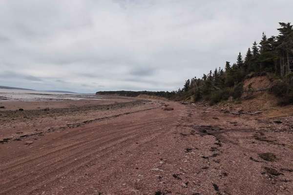 Pink Rock Beach