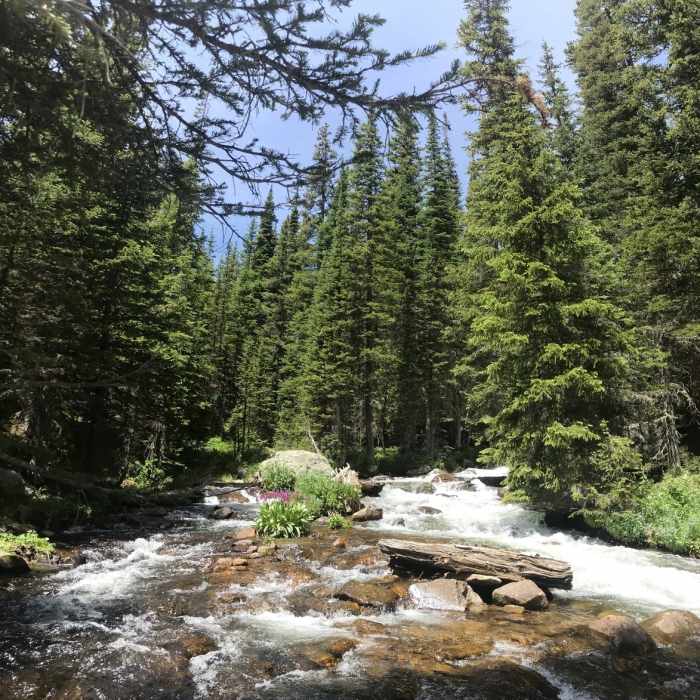 Near Saint Vrain Glacier Trail