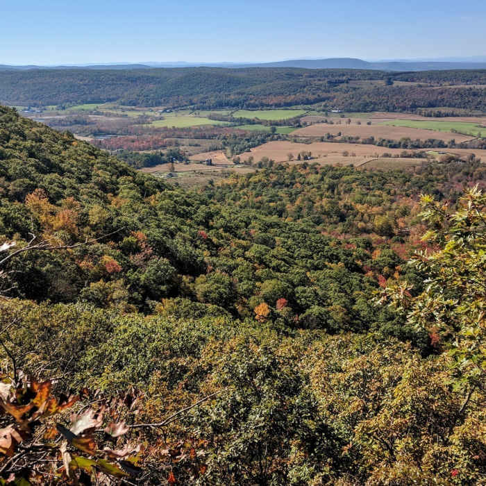 After a challenging rock scramble, this small opening in the forest gives a glimpse to come as a reward for your hard work. Near Brace Mountain Out-and-Back