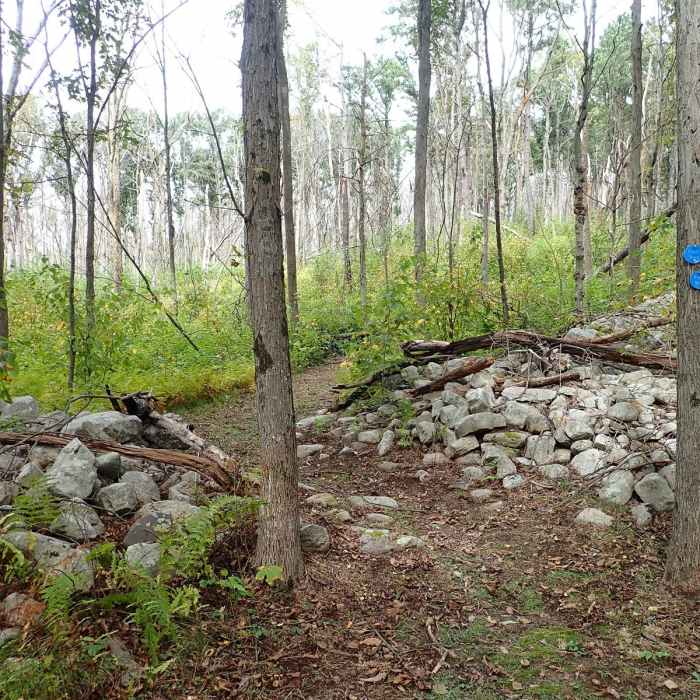 Near Shawangunk Ridge Trail: Roosa Gap Section