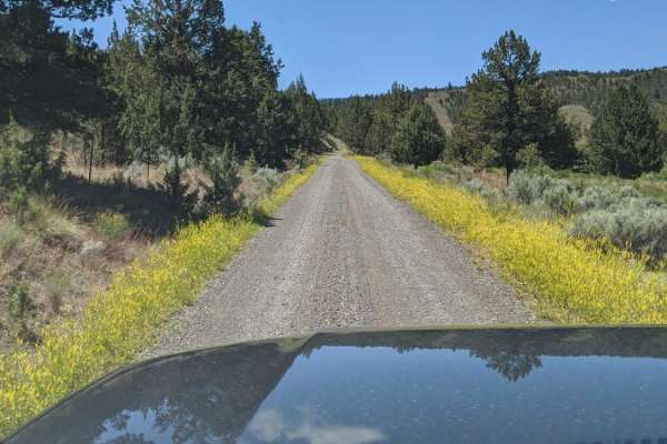Wild Cattle Trail