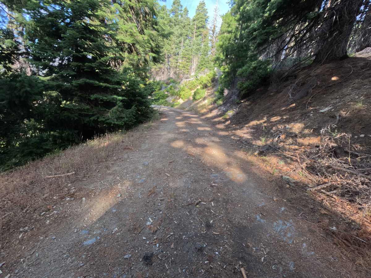 Barley Lake - FS 20N65 trail photo