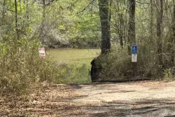 Cogden Lake Road