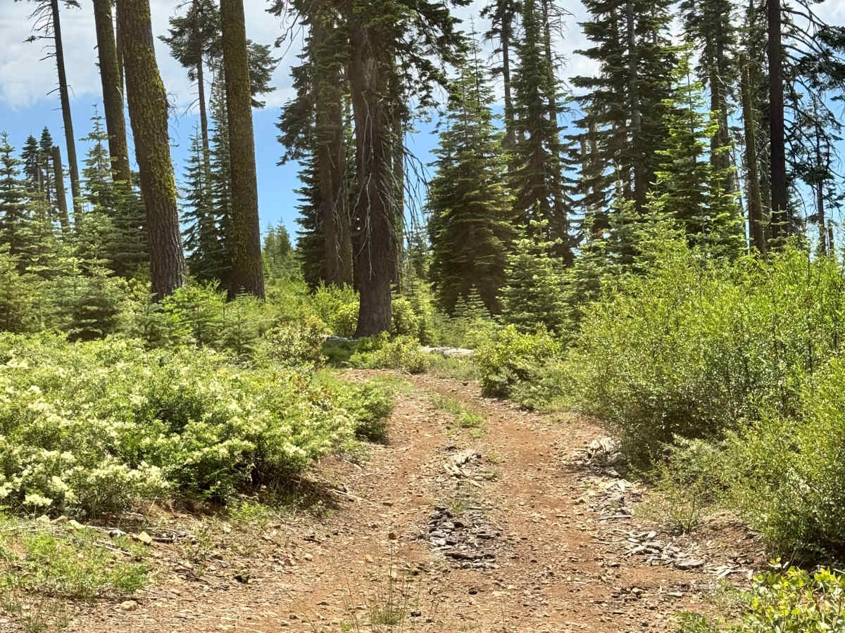 Westcott - FS 43 photo 2