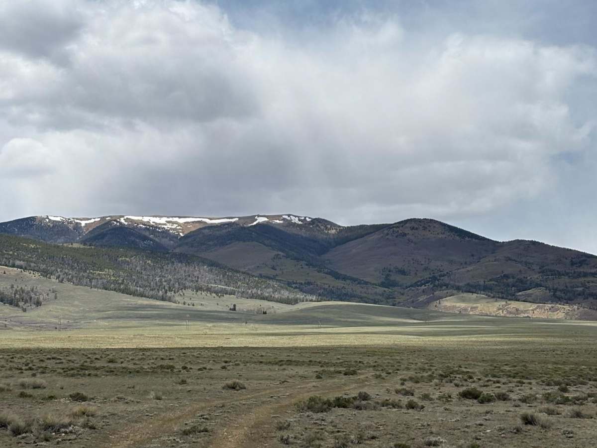 Turquoise Road photo 4
