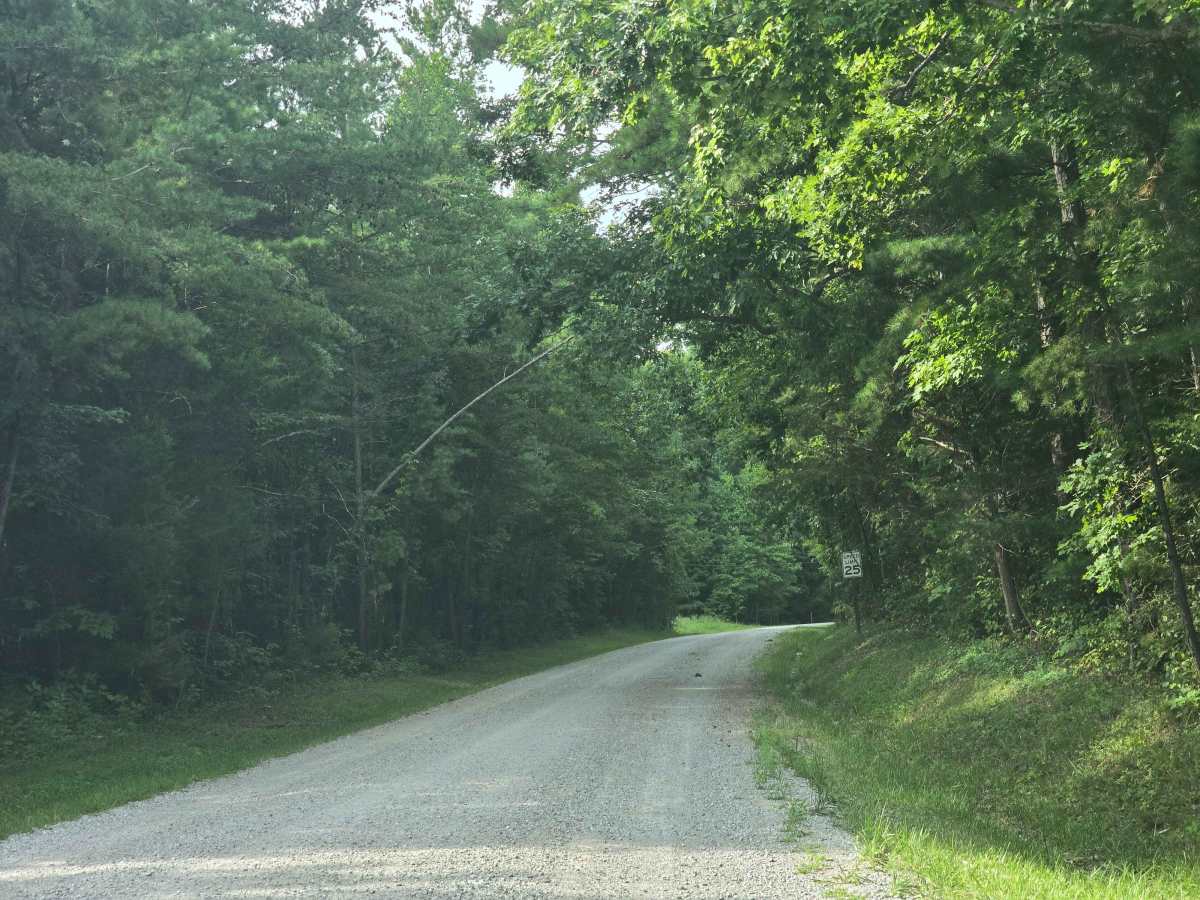 Bandy Creek Road trail photo