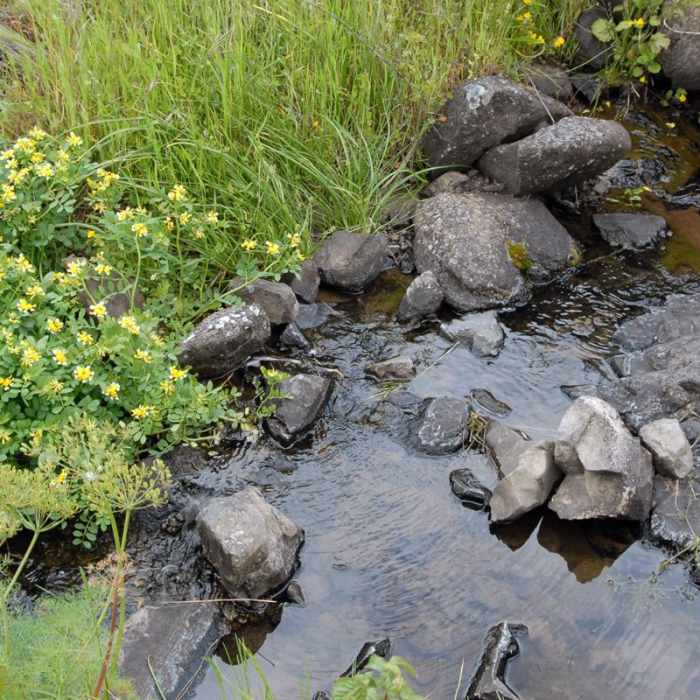 Near Coyote Wall Hiking Trail