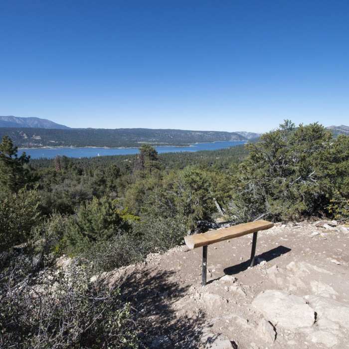 Near Cougar Crest Trail