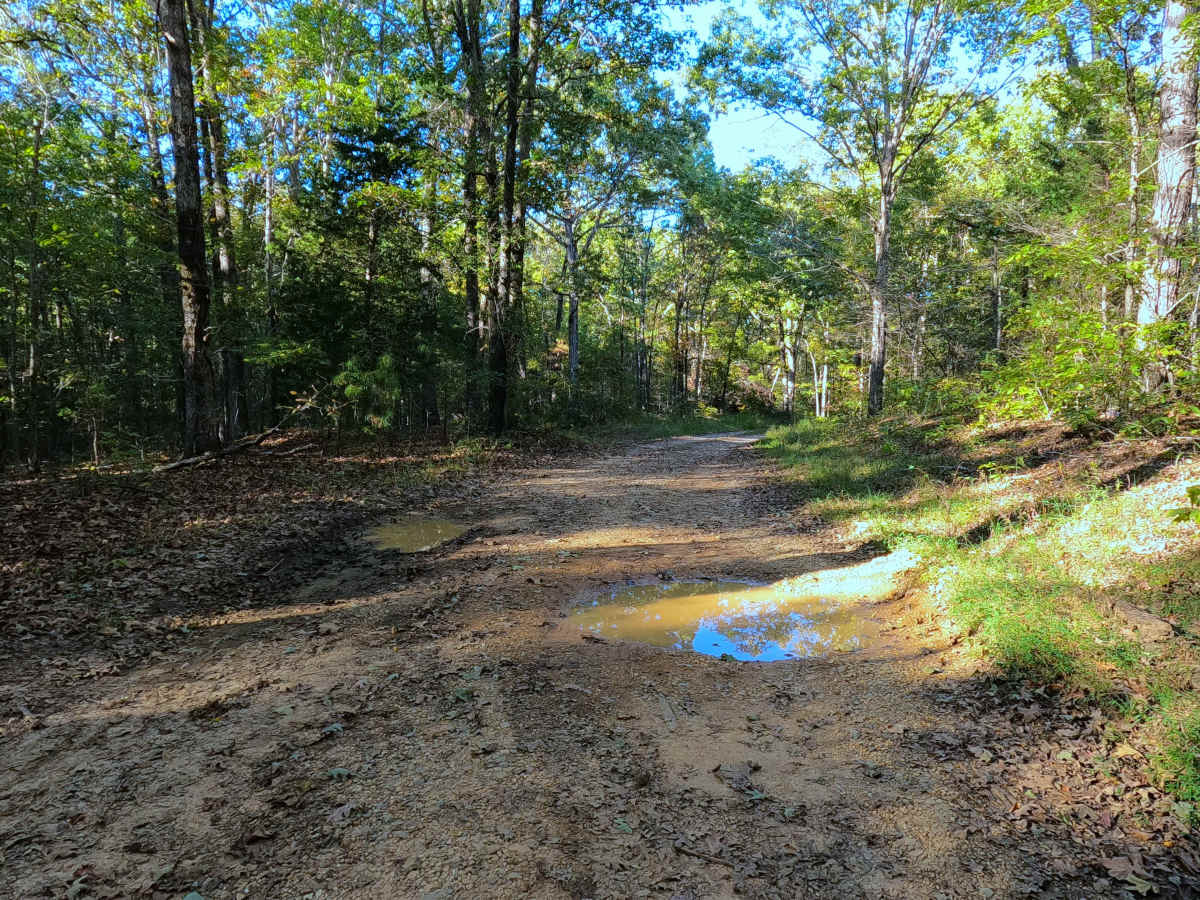 Sugar Creek - FS 318 photo 3