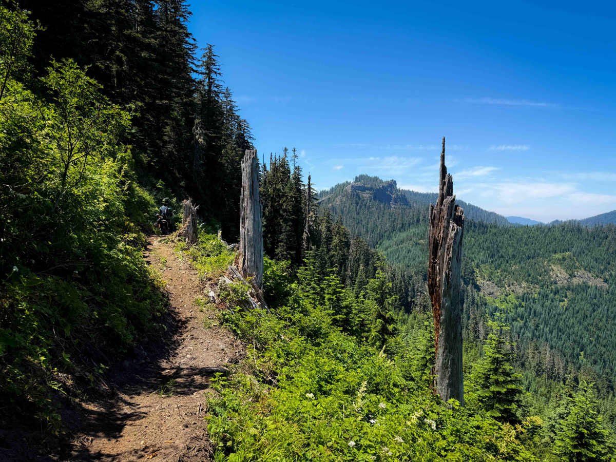 Allen Mountain Trail - 269 photo 2