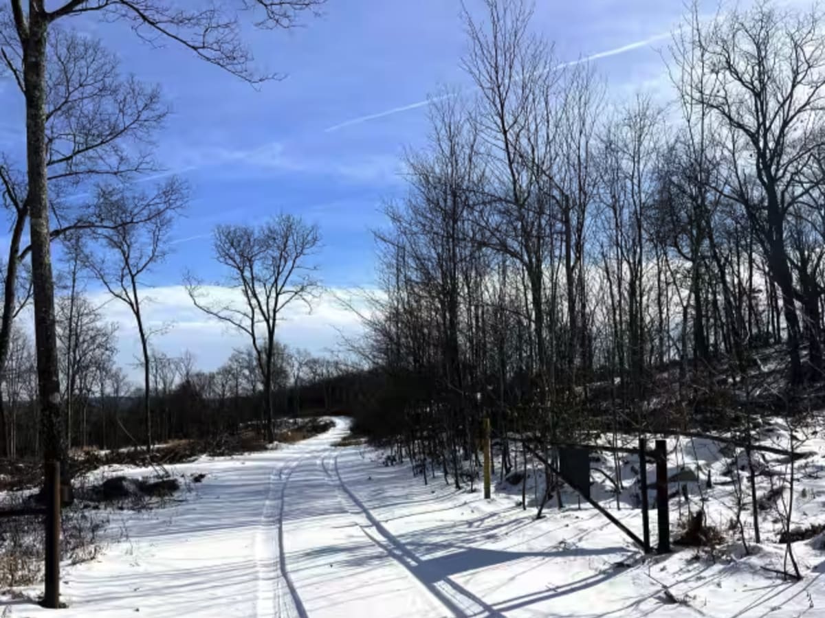 Coffer's Camp Trail photo 3