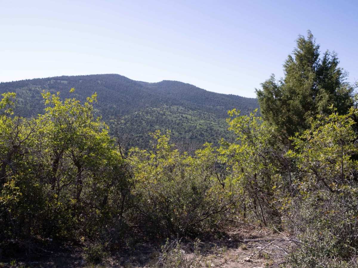 Cedar Mountain East Ridge photo 4