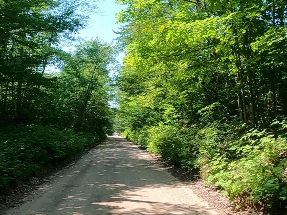 County Road EEM photo 3