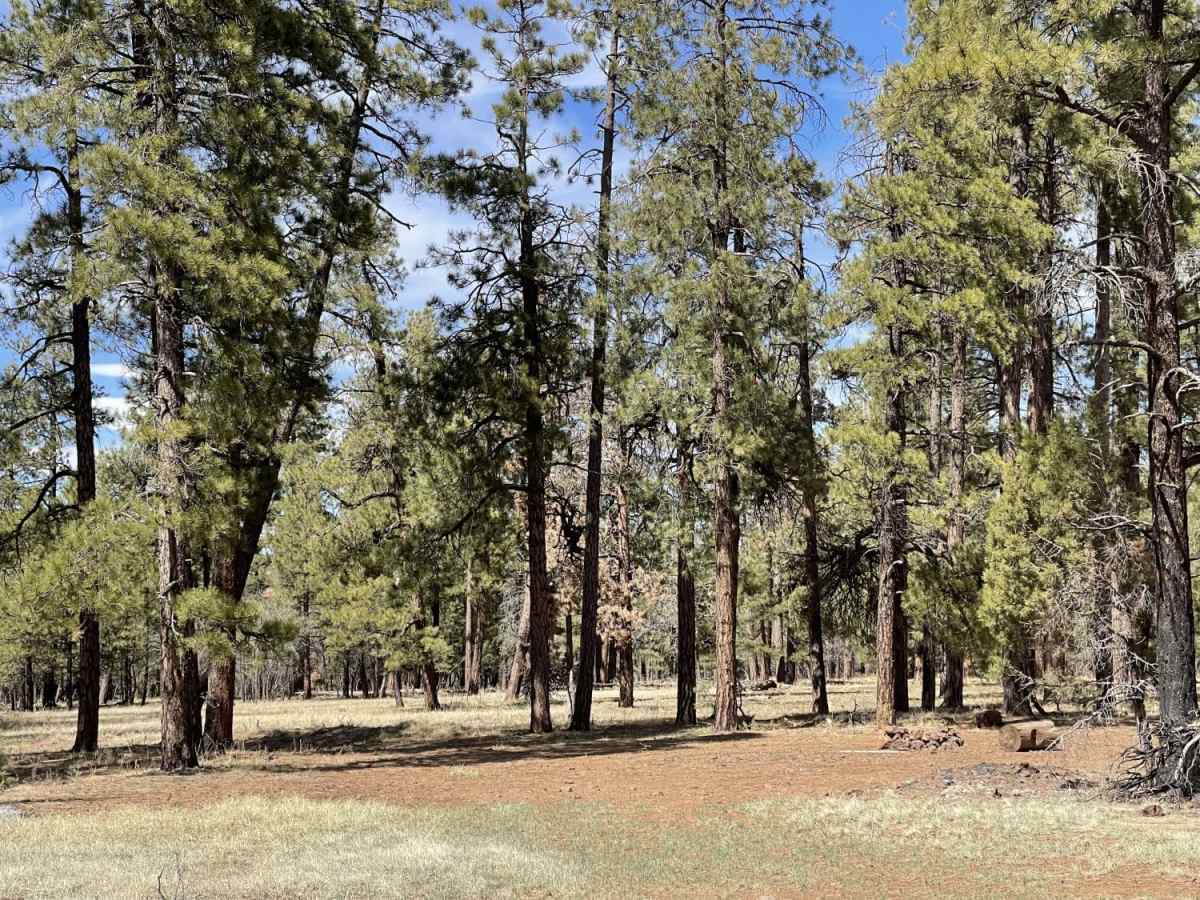 Little Rim Road photo 4