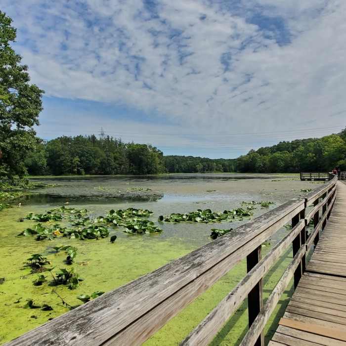 Near Teatown Lake Cliffdale Farm Double Loop