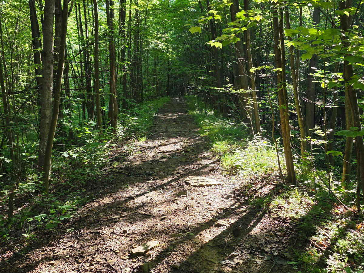 Single Track C3 trail photo