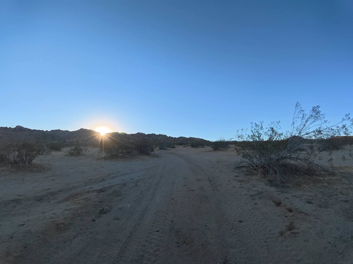 BLM SV2611 photo 4