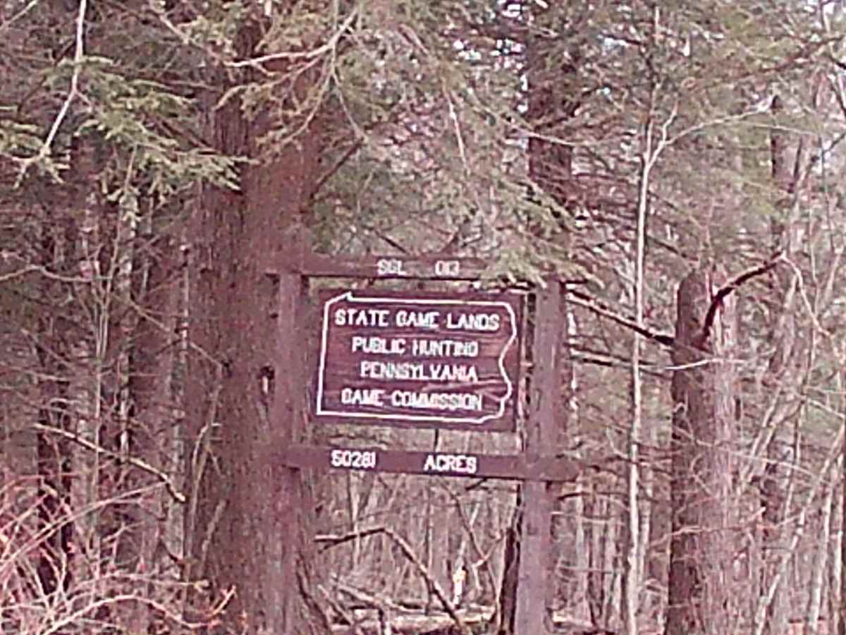 Masonite Road photo 2