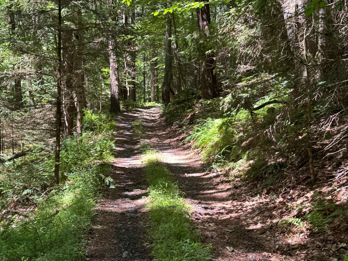 Button Connector Trail photo 4
