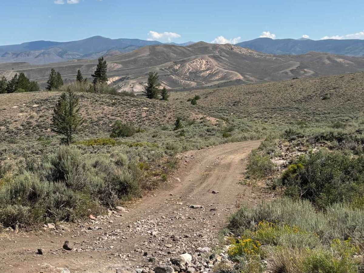 Northern Little Wolford Mountain trail photo
