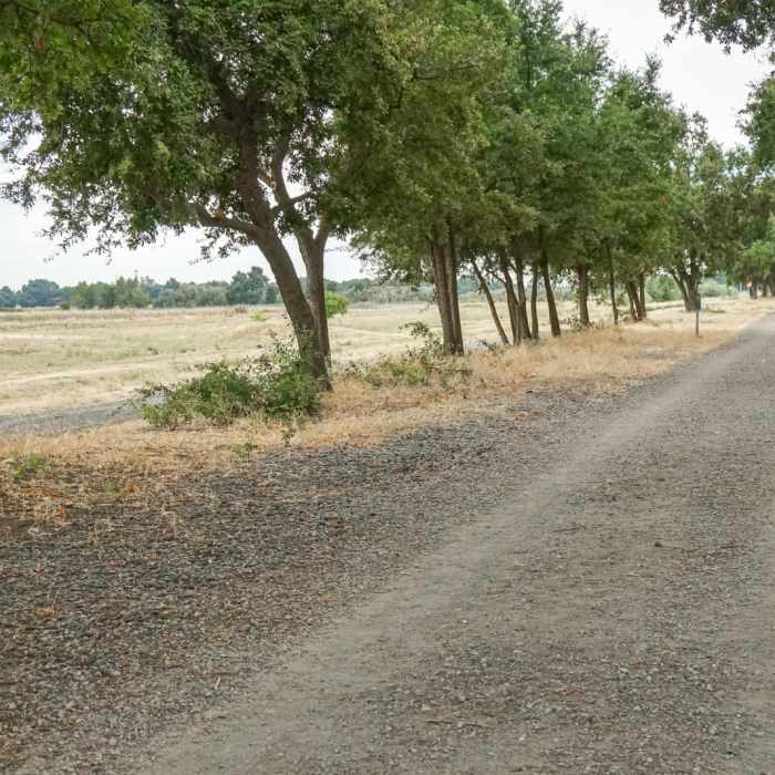 Near Clarksburg Branch Line