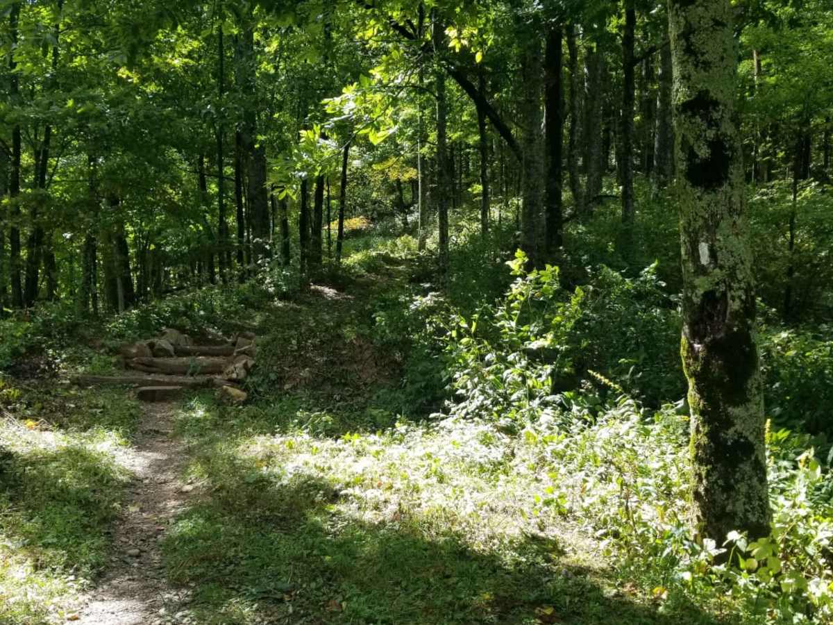 McQueen's Gap trail photo