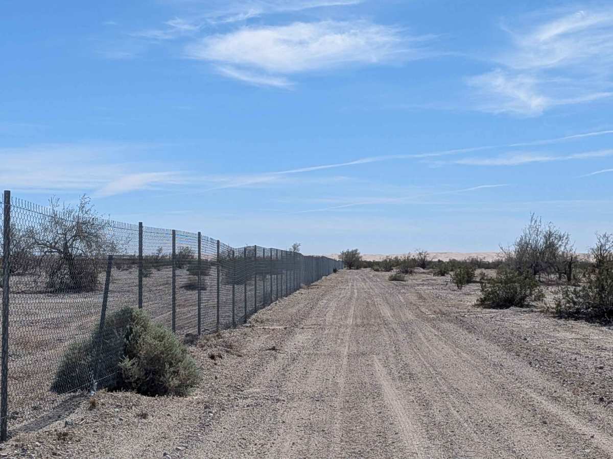 BLM 760 photo 4