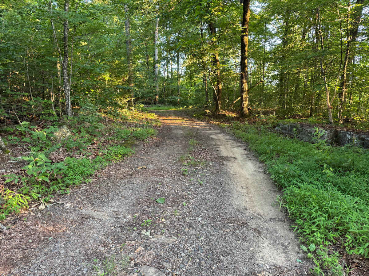 County Road 5501 photo 5