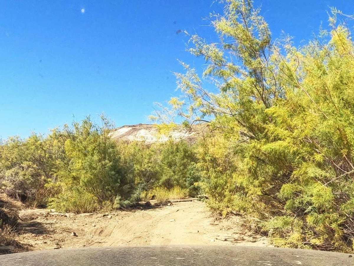Dry Creek Road photo 3