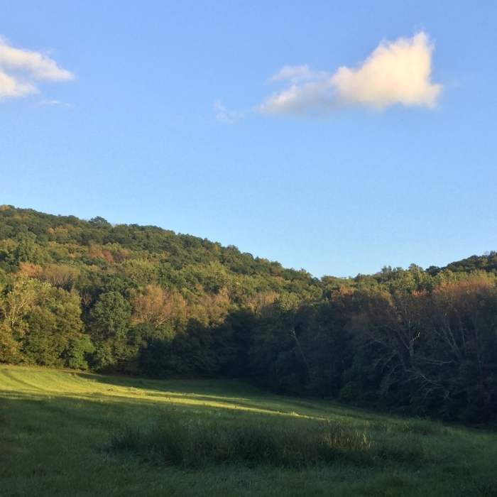 Fall around the corner. Near Point Mountain Reservation - North to South