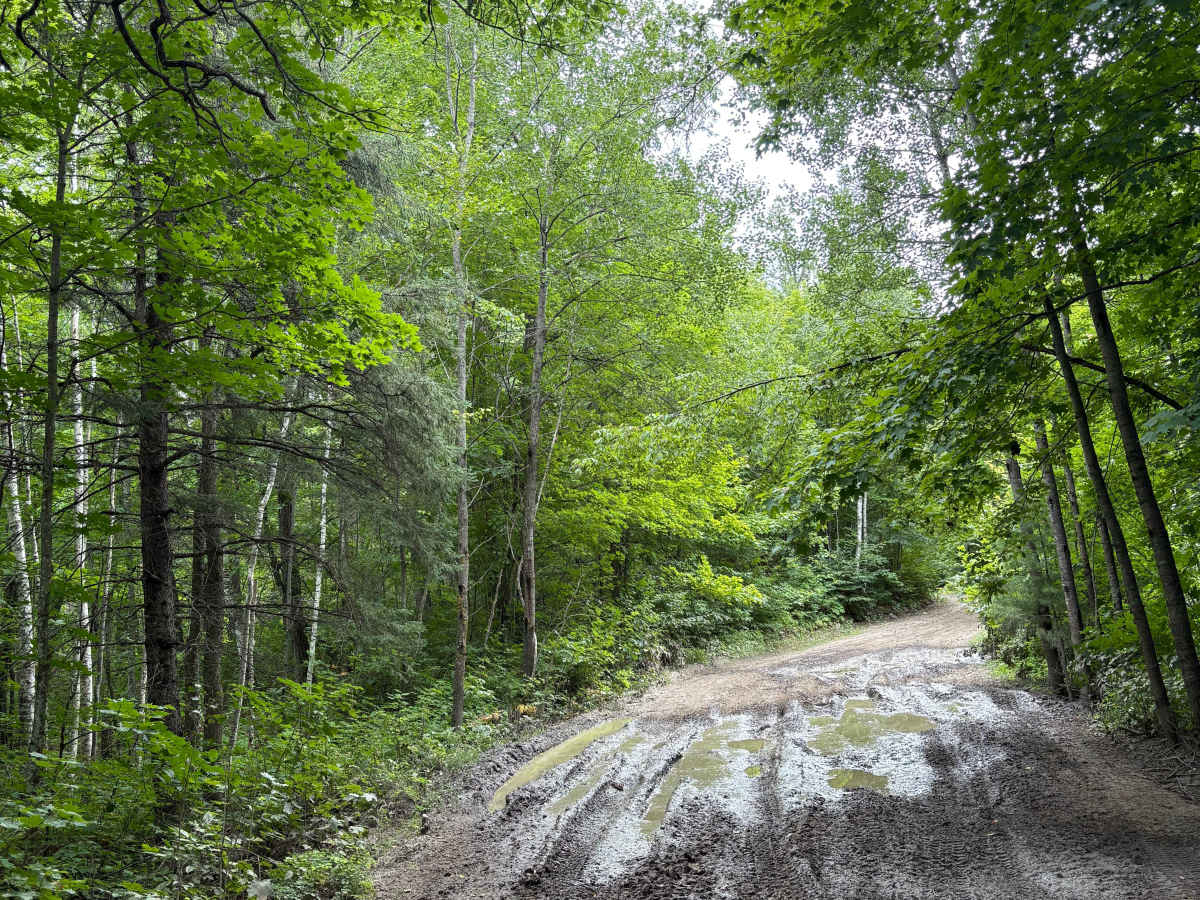 Camp 5 Trail photo 4