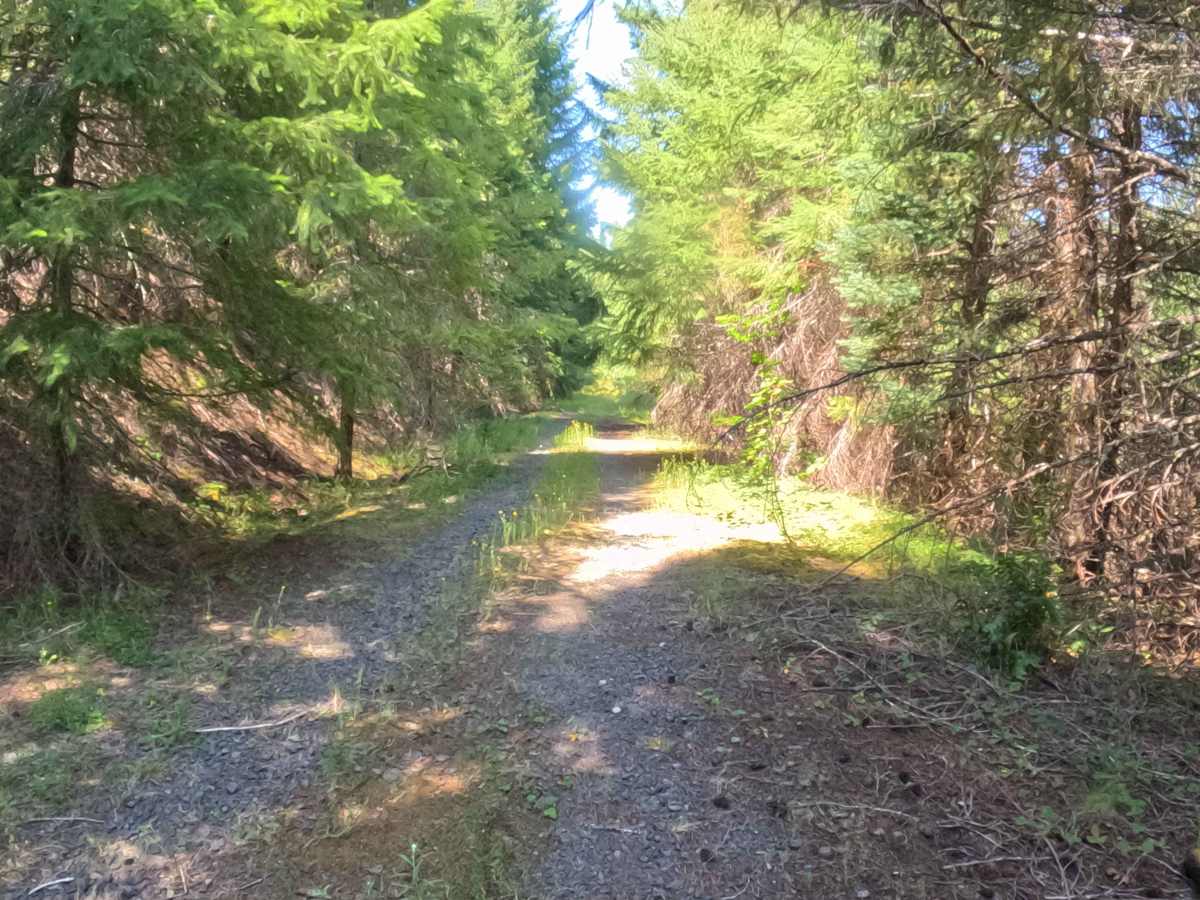 South Branch - FS 2266400 photo 6