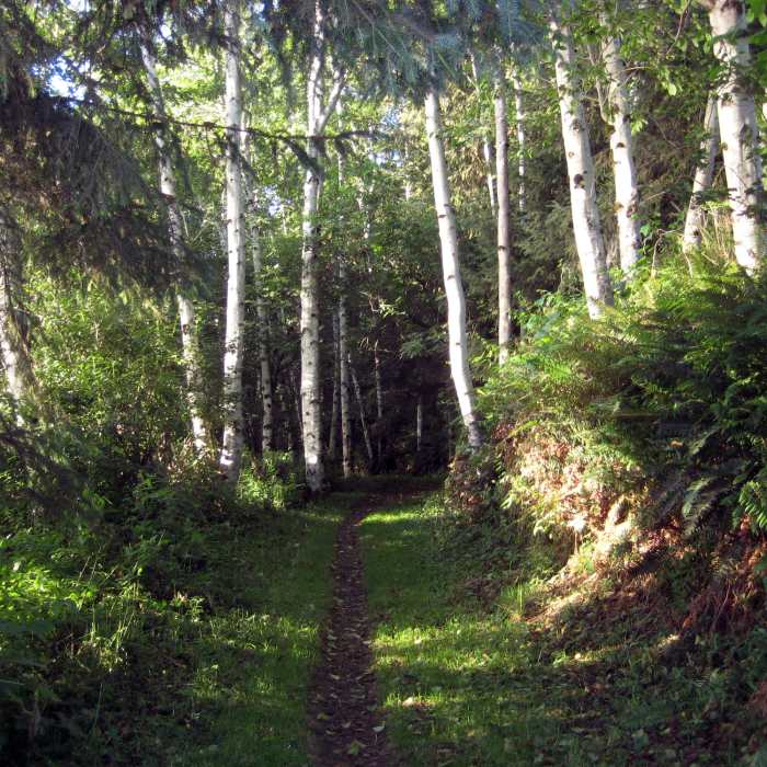 A lovely section of singletrack greets visitors on the Coastal Trail: Flint Ridge Section. Near Coastal Trail: Flint Ridge Section