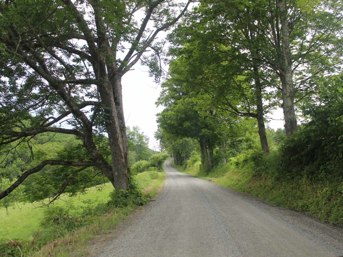 Mill Road photo 2