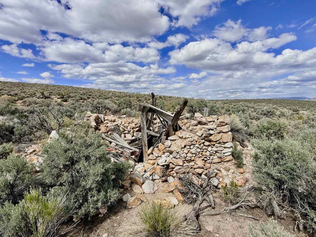 Spanish Spring - FS 44015 photo 2