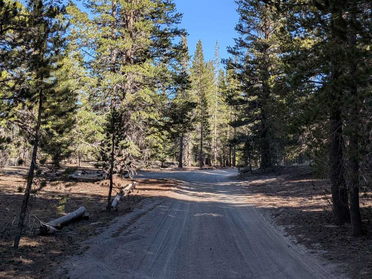 FS 2S05F Obsidian Flat Group Campground photo 5